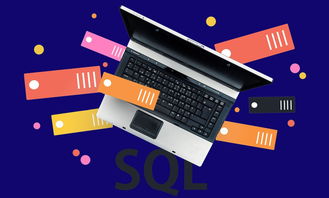 计算机技能需求新排名 Python仅排第3，第1你猜到了吗？